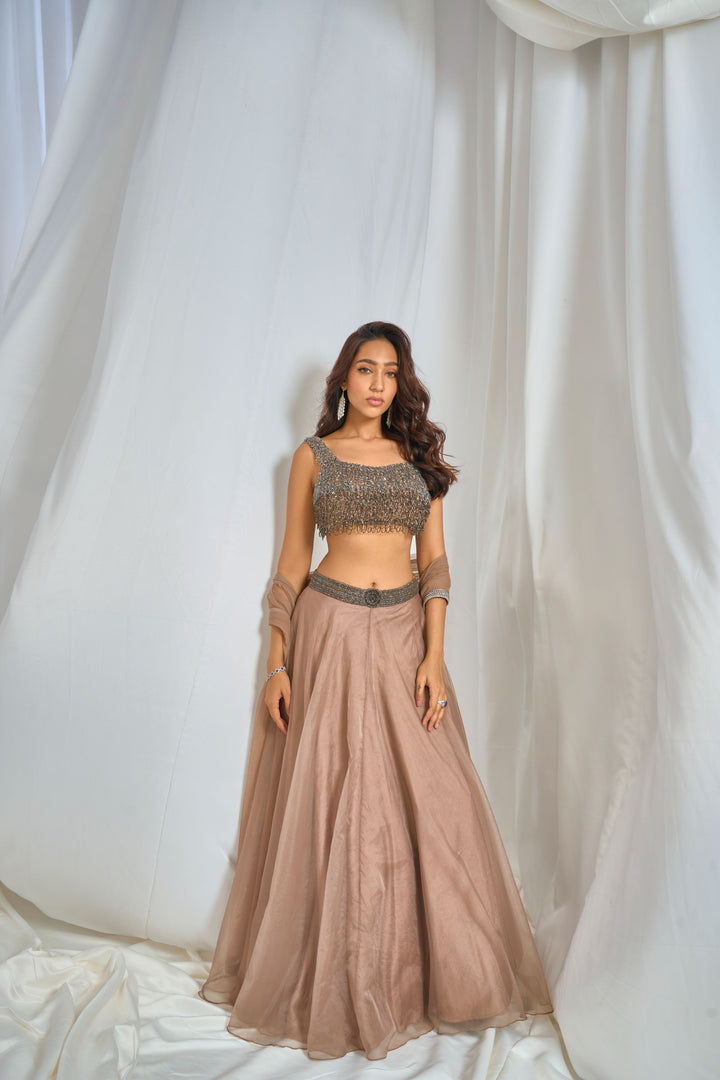 DIVASA LEHENGA